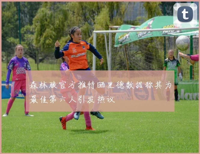森林狼官方推特晒里德数据称其为最佳第六人引发热议